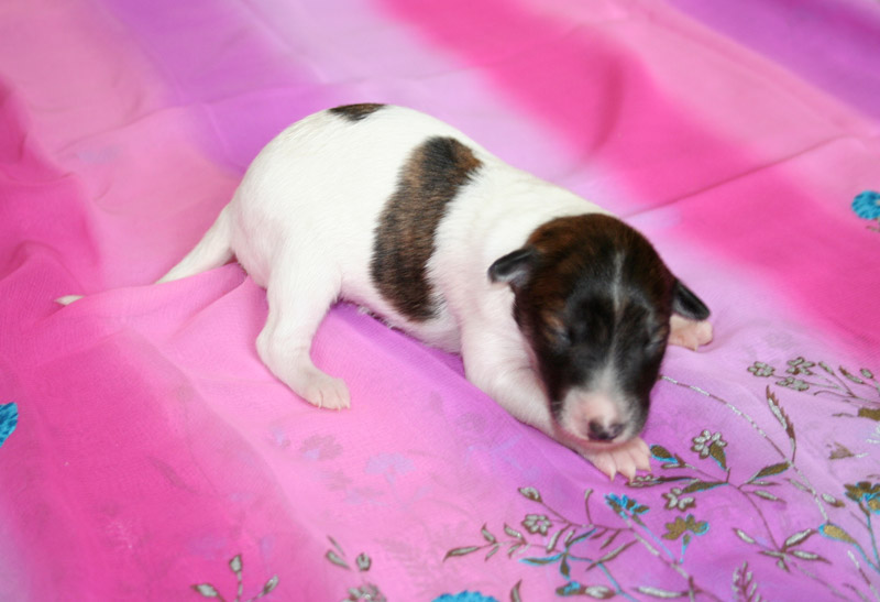 Surf Spots - Girl 1 Right Face